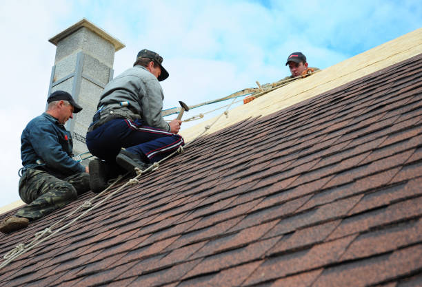 Quick and Trustworthy Emergency Roof Repair Services in Birmingham, MI